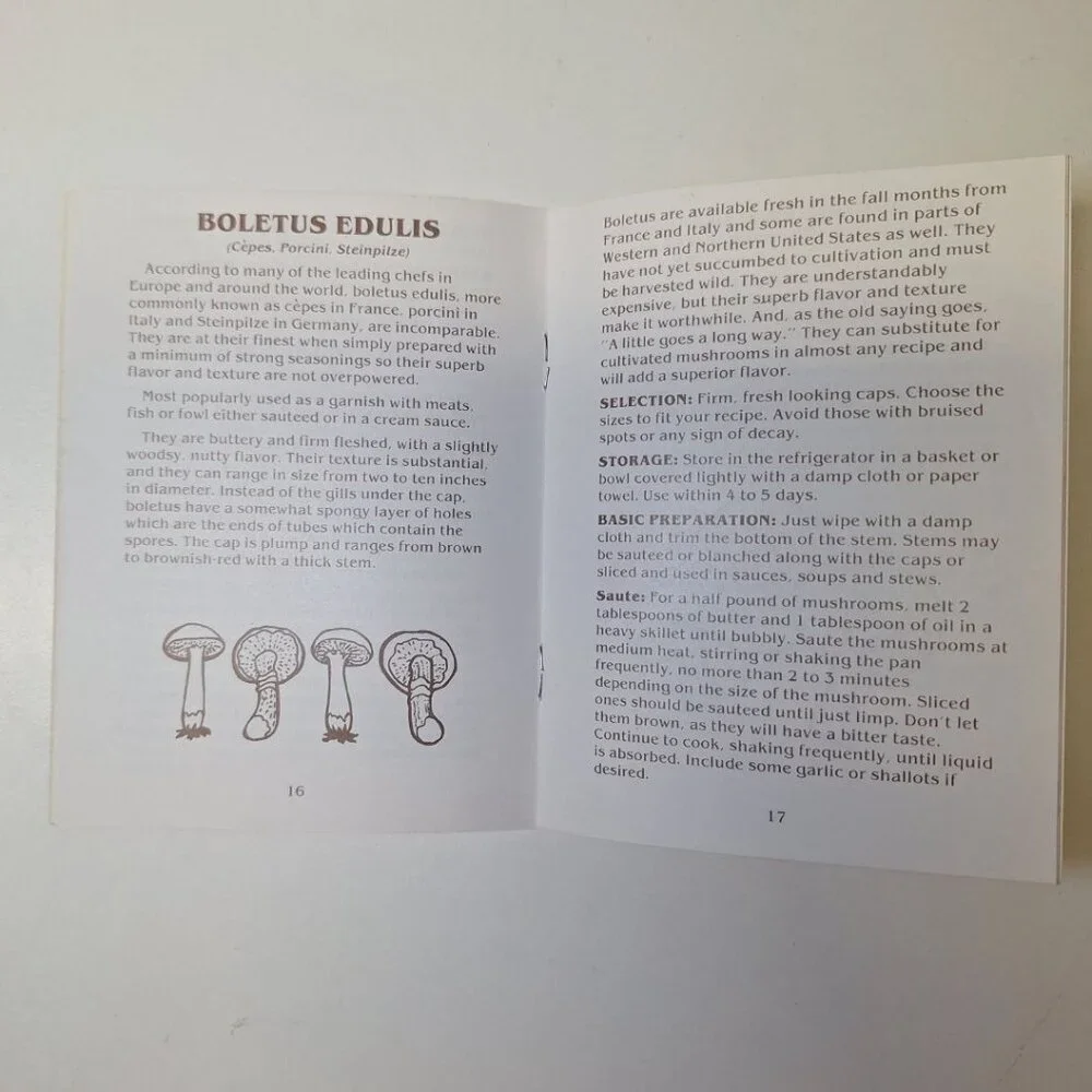Sybils Guide Exotic Mushrooms Morel Oyster Vintage Booklet‎ Small Pocket 1985